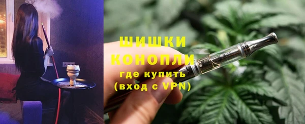 прущие грибы Карпинск
