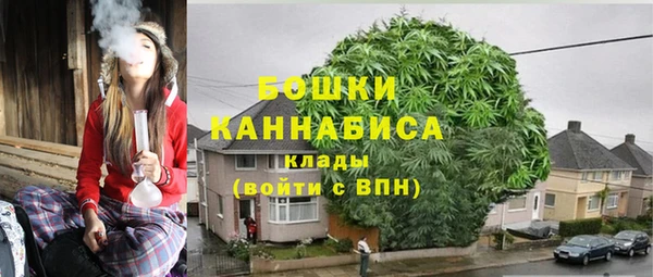 apvp Белокуриха