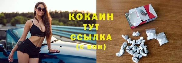 apvp Белокуриха