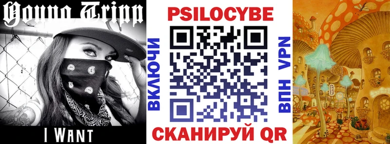 Псилоцибиновые грибы Cubensis Светлый